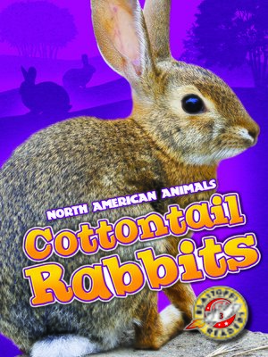 cover image of Cottontail Rabbits